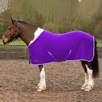 Gallop Jersey Cooler Rug (Purple)