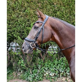Rhinegold Softee Padded Leather Pro-Anatomical Bridle