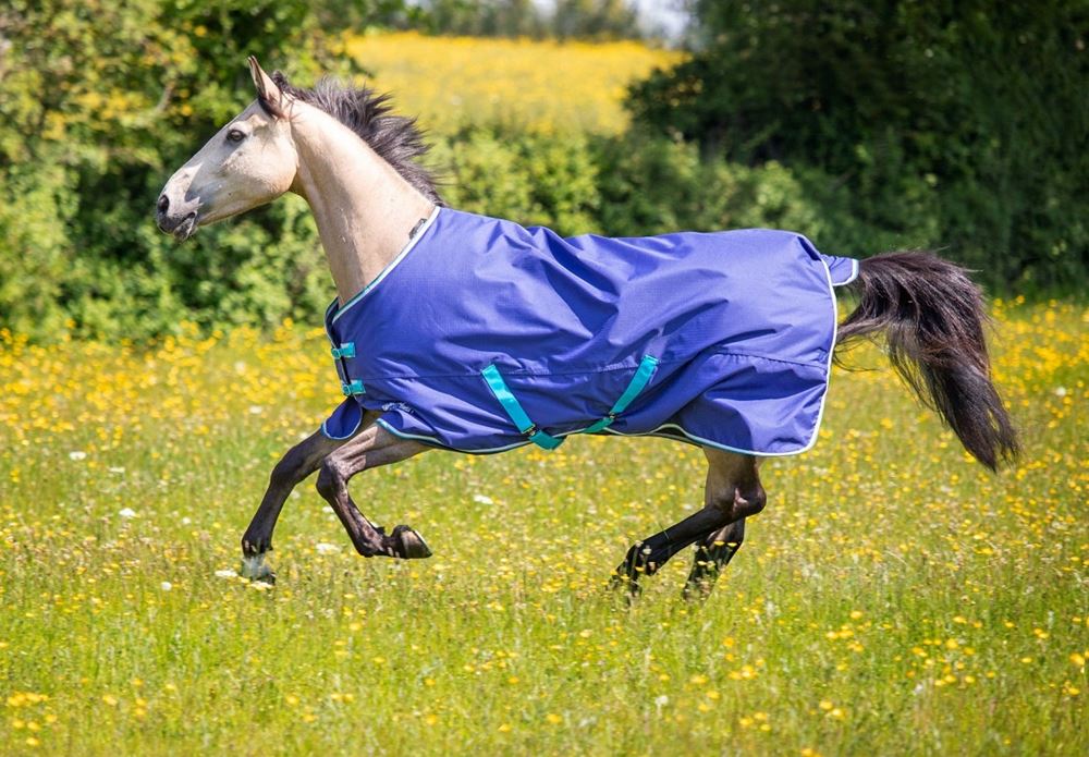 Shires Tempest Original 100 Turnout Rug (Navy)