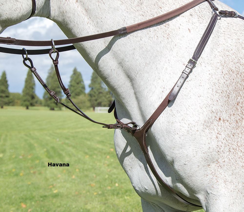 Shires Avignon Breastplate