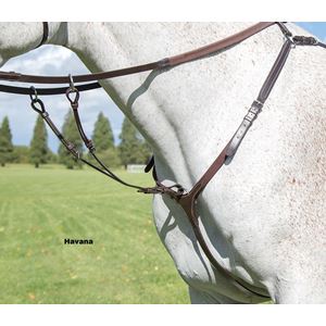 Shires Avignon Breastplate