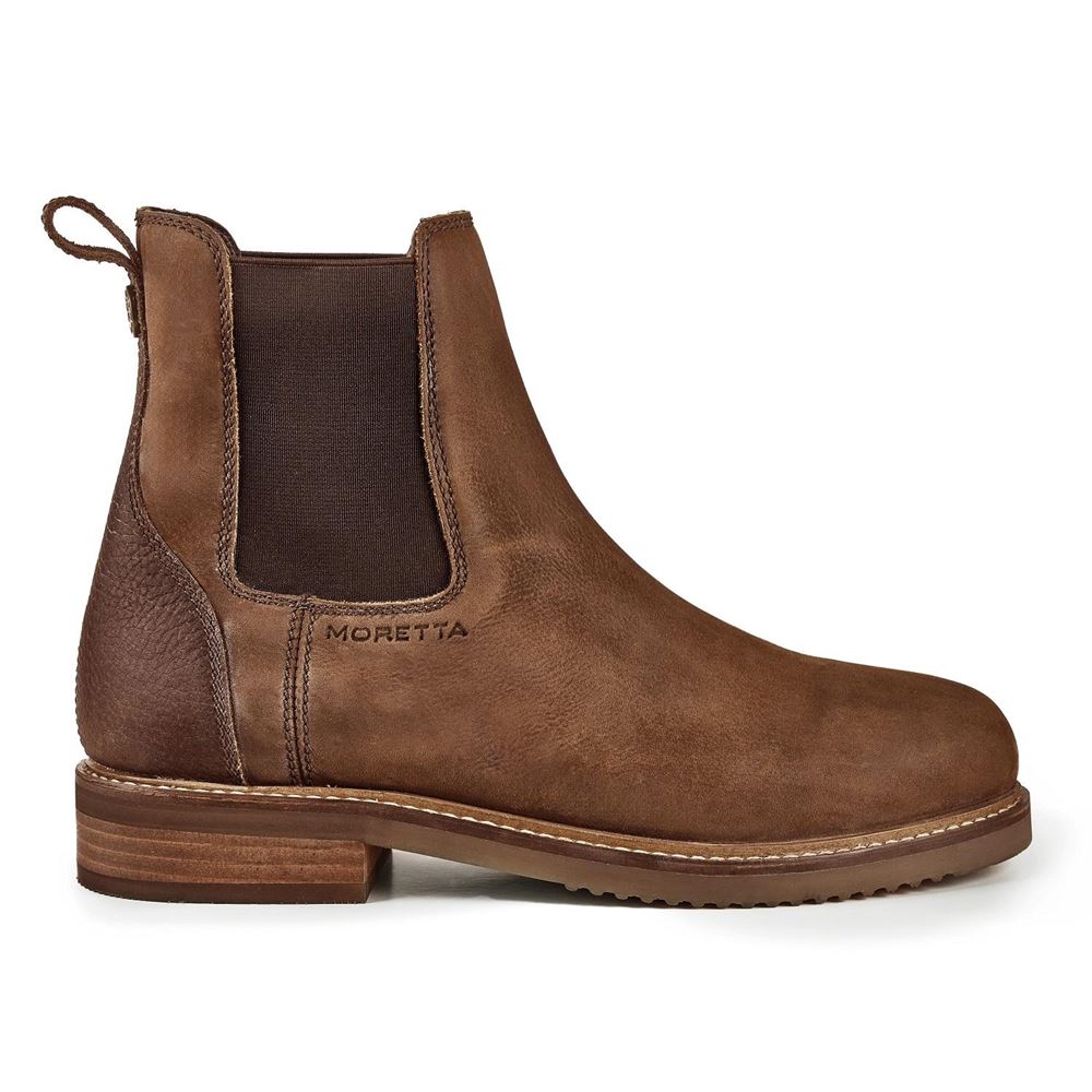 Shires Moretta Modena Chelsea Boots (Tan)