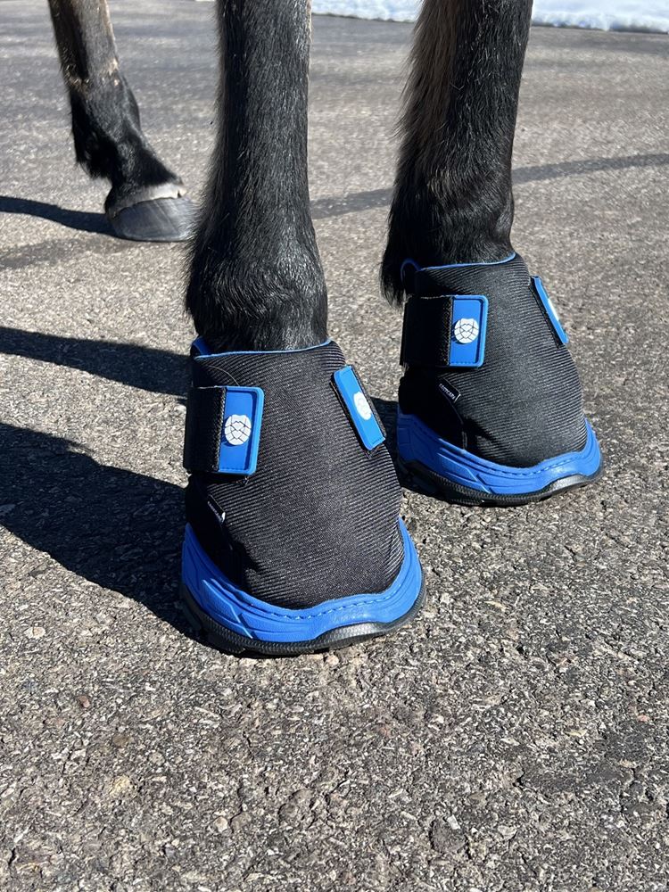 Easyboot RX Hoof Therapy Boot (Sizes 00-3)