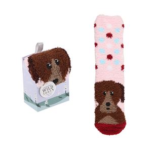 Cosy Lounge Socks - Dog