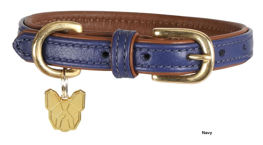 Shires Digby & Fox Padded Leather Dog Collar (XXXS - XXS)