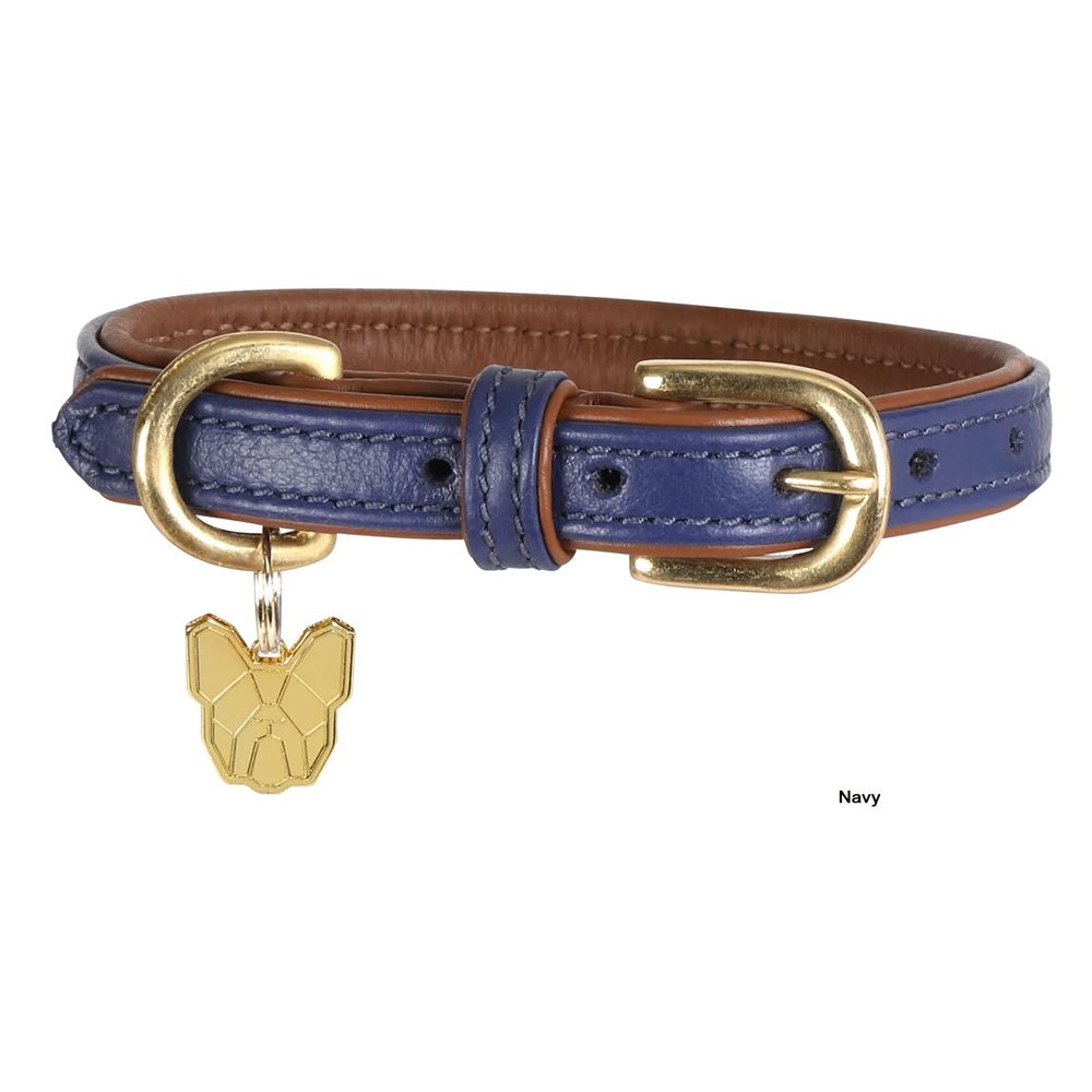Shires Digby & Fox Padded Leather Dog Collar (XXXS - XXS)