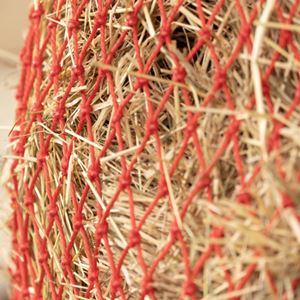 Hy Equestrian Slow Flow Lock-Knot Haynet (Red)