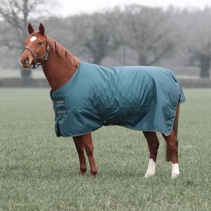 Shires Typhoon 200 Turnout Rug (Green)
