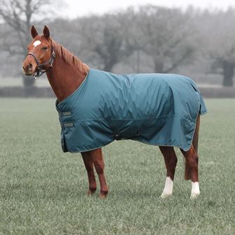 Shires Typhoon 200 Turnout Rug (Green)