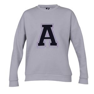 Shires Aubrion Serene Sweatshirt (Grey)