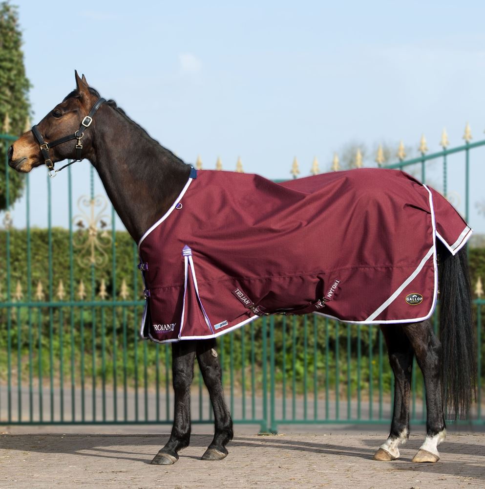 Gallop Trojan Xtra DURAPROOF Lightweight Turnout (Burgundy/White/Purple)