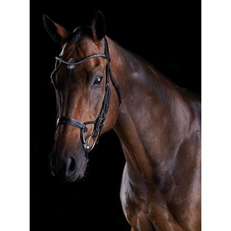 Collegiate Comfitec Crystal Bridle (Brown)