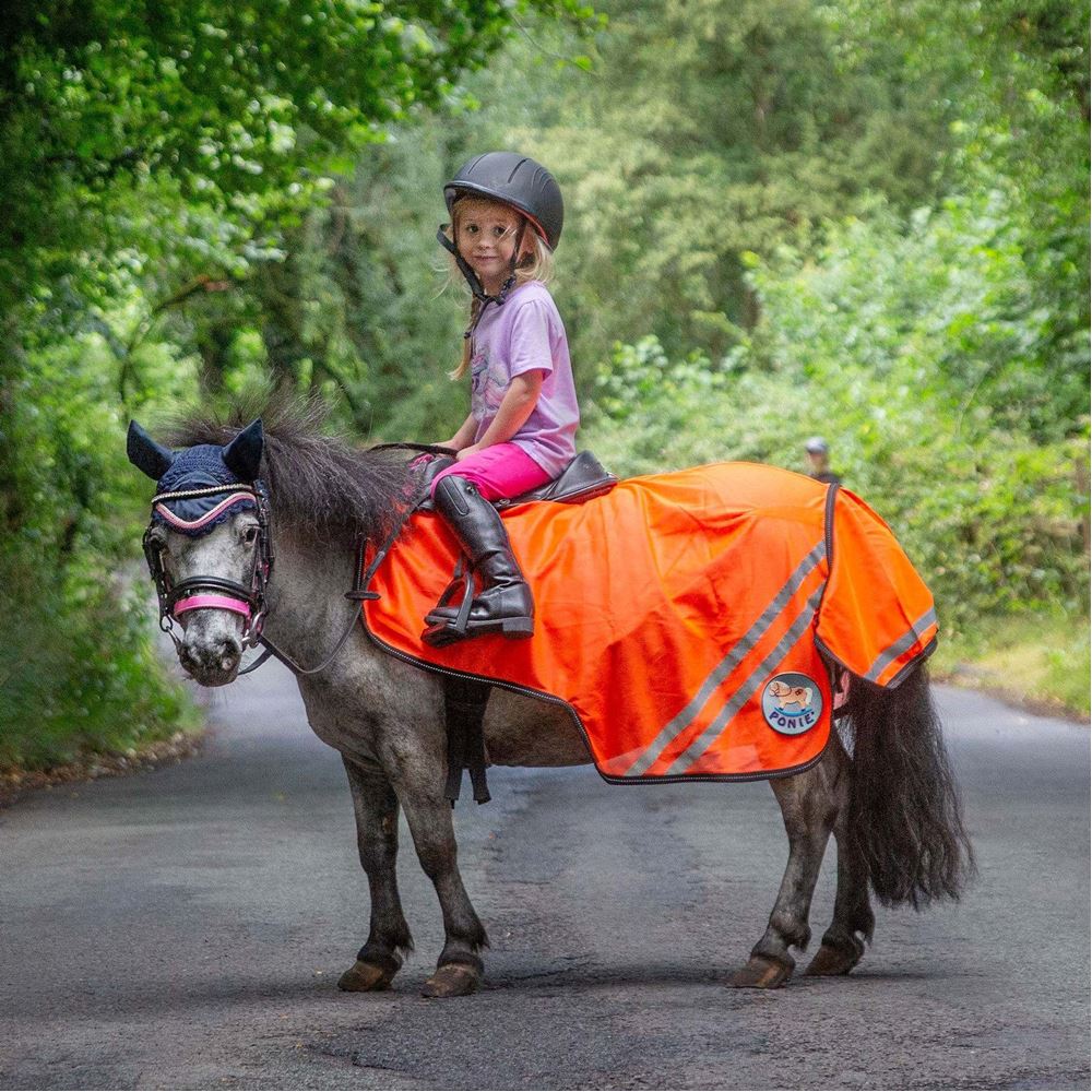 Ponie Retro Reflective Mesh Exercise Sheet