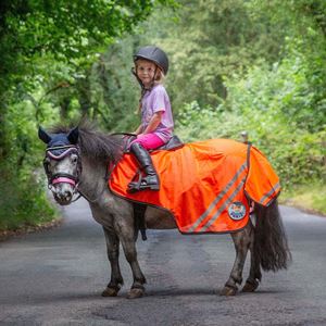 Ponie Retro Reflective Mesh Exercise Sheet