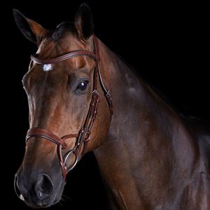 Collegiate Comfitec Training Bridle (Brown)