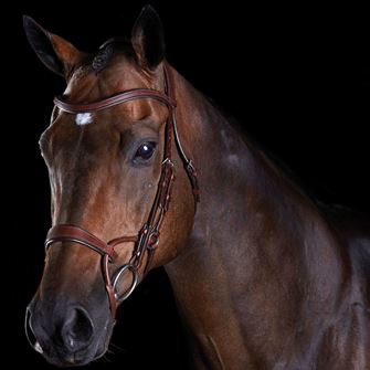 Collegiate Comfitec Training Bridle (Brown)