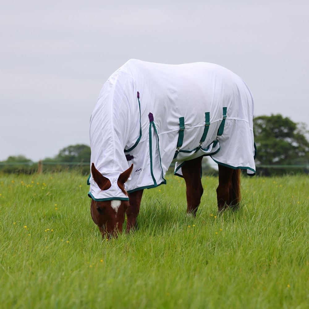 Shires Highlander Plus Fly Sheet Combo (White)