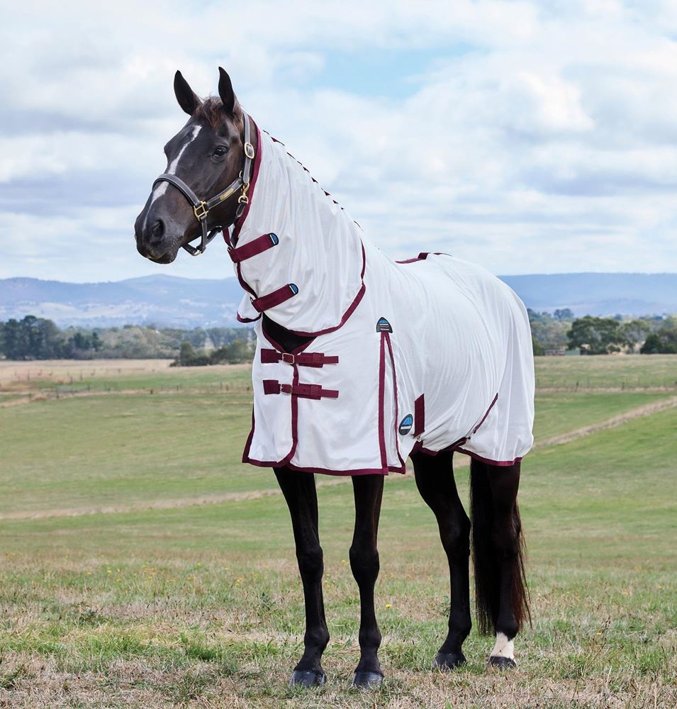 WeatherBeeta ComFiTec Essential Fly Sheet Combo (White/Burgundy)