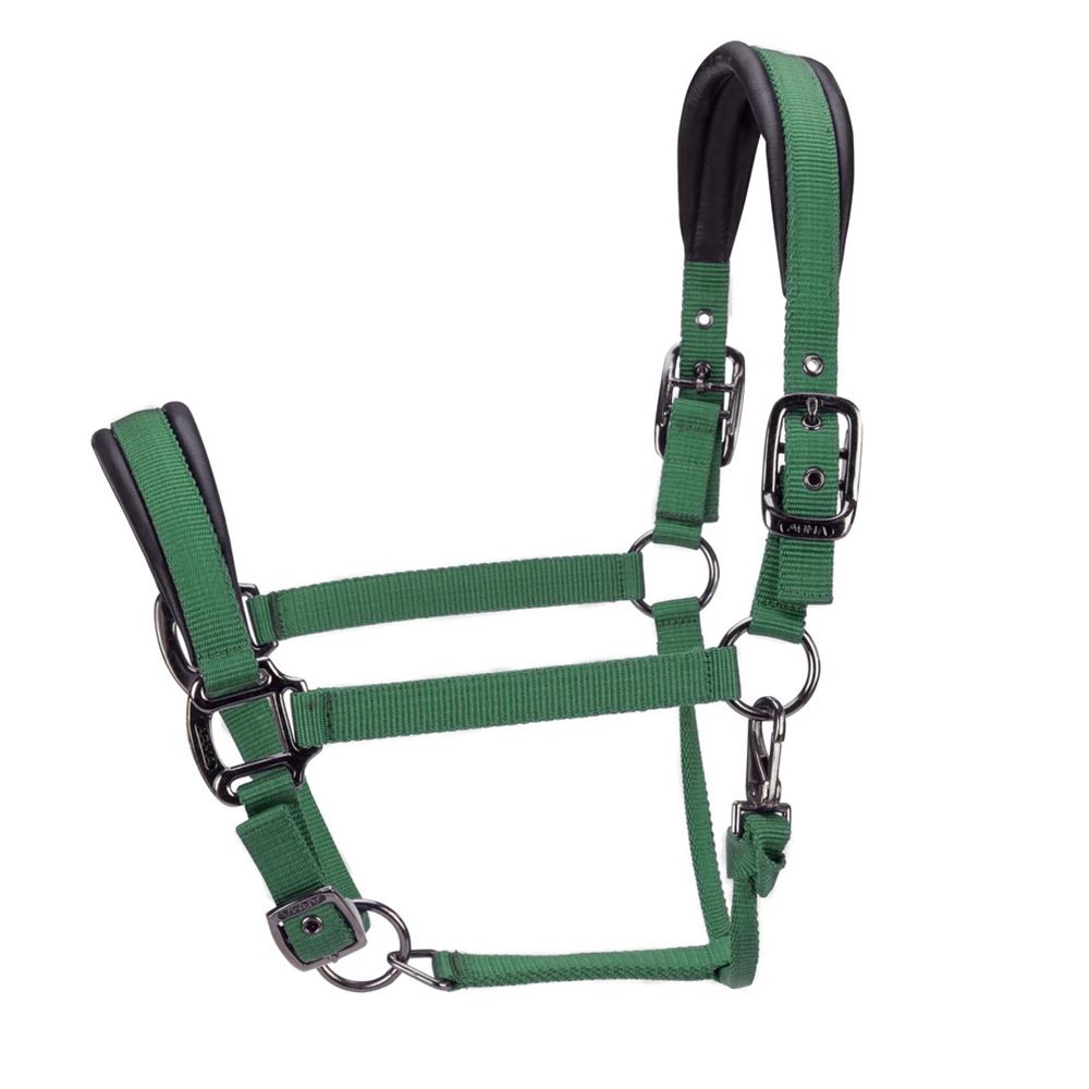 Shires ARMA Pro Padded Headcollar (Dark Green)