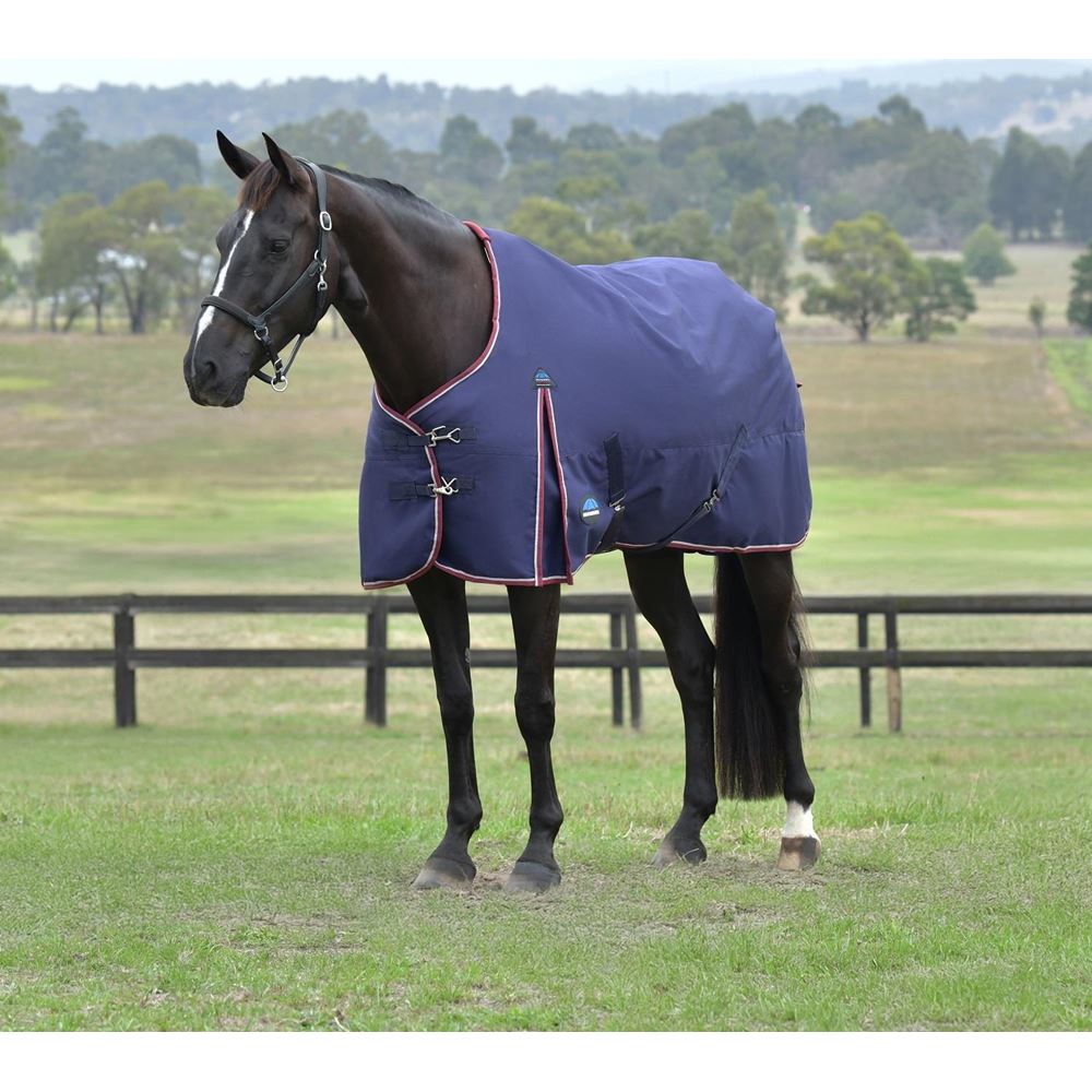 Weatherbeeta Comfitec Essential Turnout Standard Neck - 50g (Navy/Burgundy)