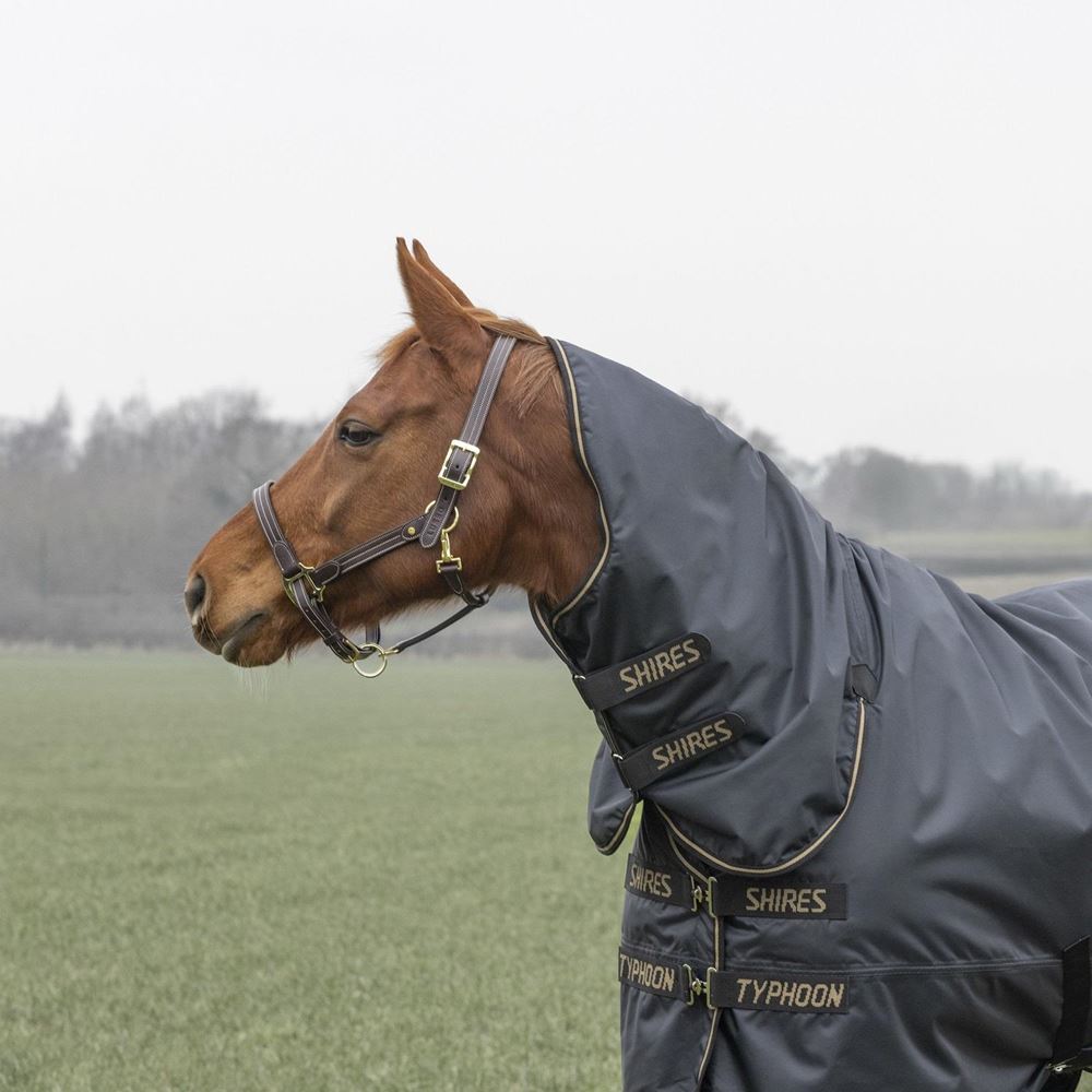 Shires Typhoon 50 Combo Lite Turnout Rug (Black)