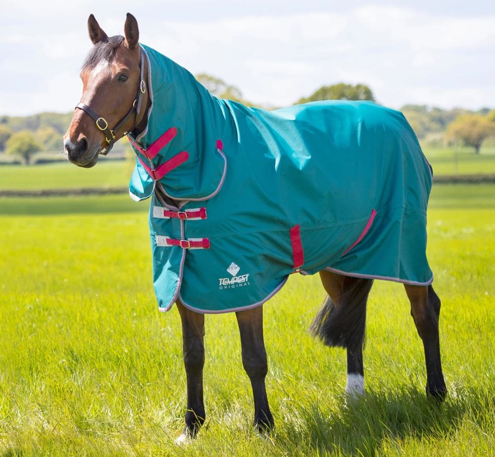 Shires Tempest Original Air Motion Combo Lightweight Turnout Rug (Green)