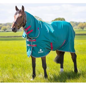 Shires Tempest Original Air Motion Combo Lightweight Turnout Rug (Green)
