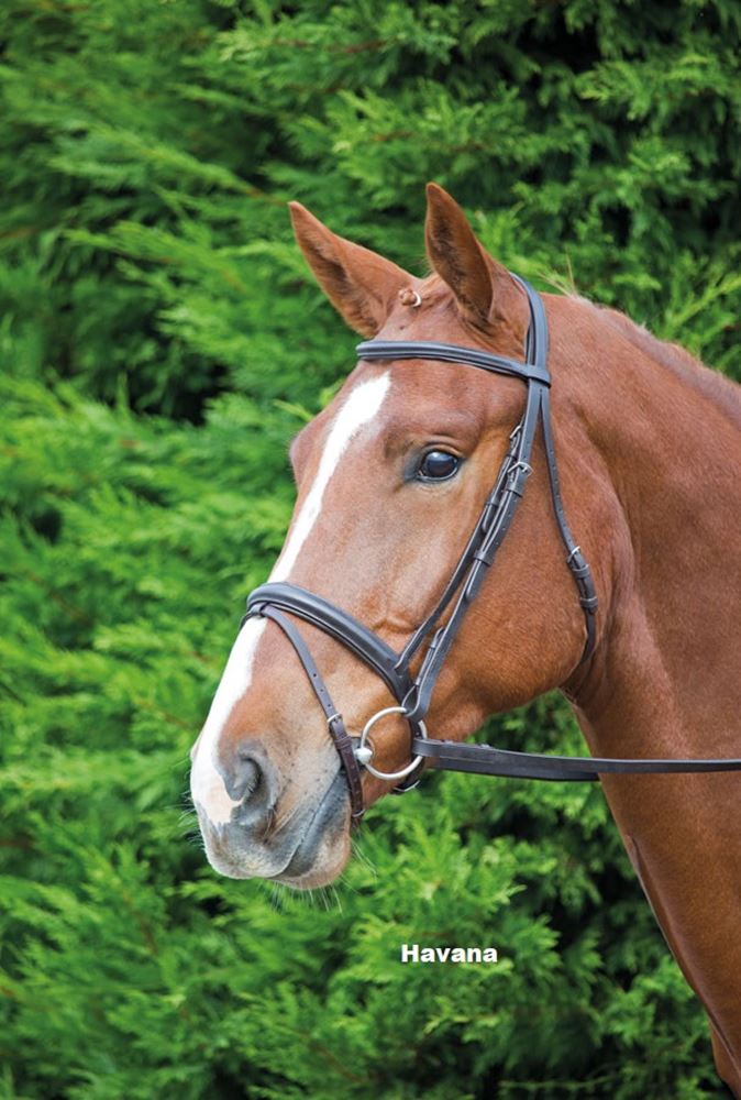 Shires Aviemore Comfort Fit Bridle