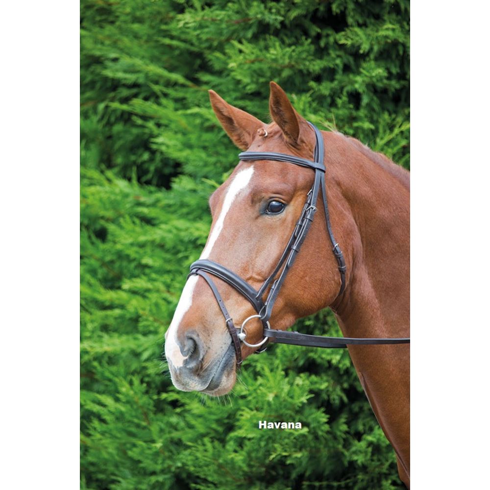Shires Aviemore Comfort Fit Bridle