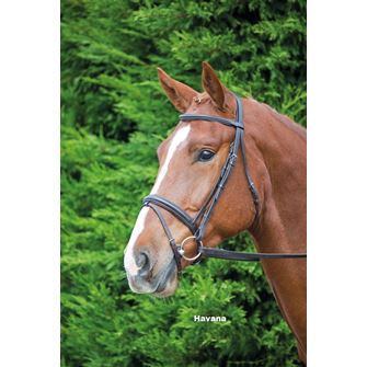 Shires Velociti GARA (Aviemore) Comfort Fit Bridle