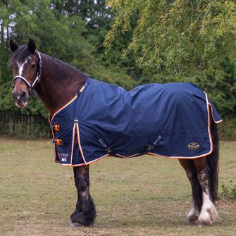 Gallop 600D Trojan DURAPROOF 100g 5-Point Standard Neck Turnout Rug (Navy/Orange/White)