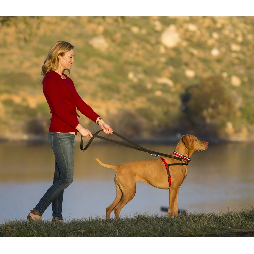 HALTI Harness - Small