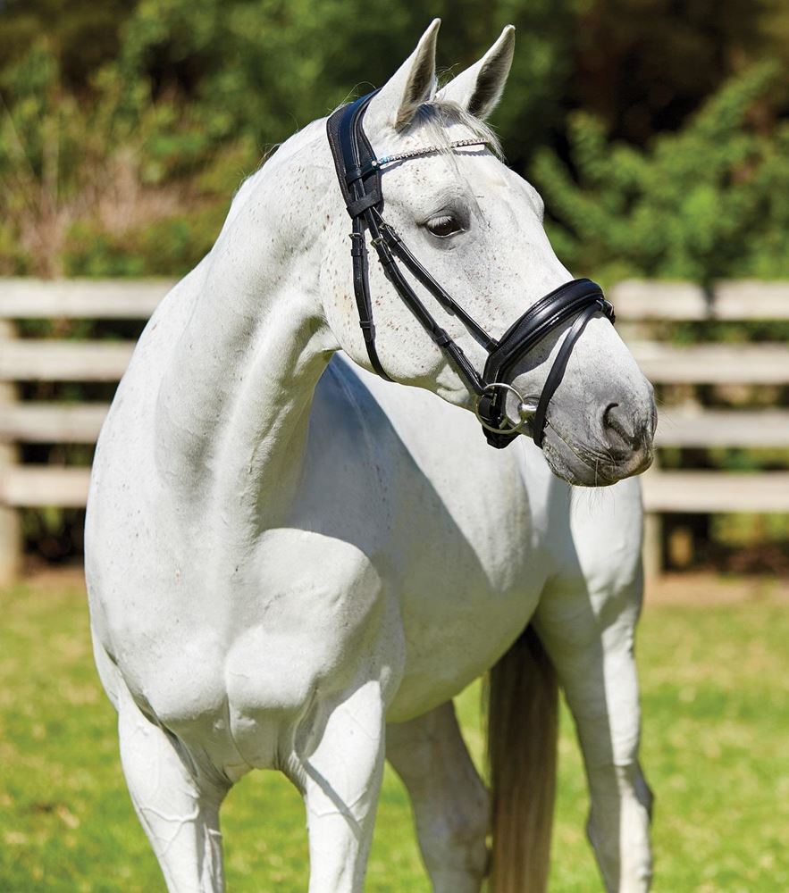 Weatherbeeta Therapy-Tec Anatomical Poll Guard