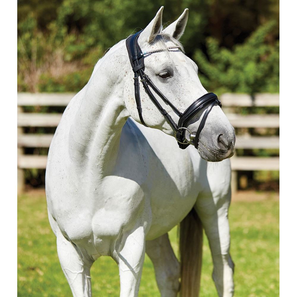 Weatherbeeta Therapy-Tec Anatomical Poll Guard