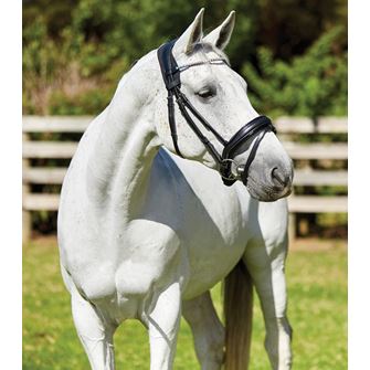 Weatherbeeta Therapy-Tec Anatomical Poll Guard