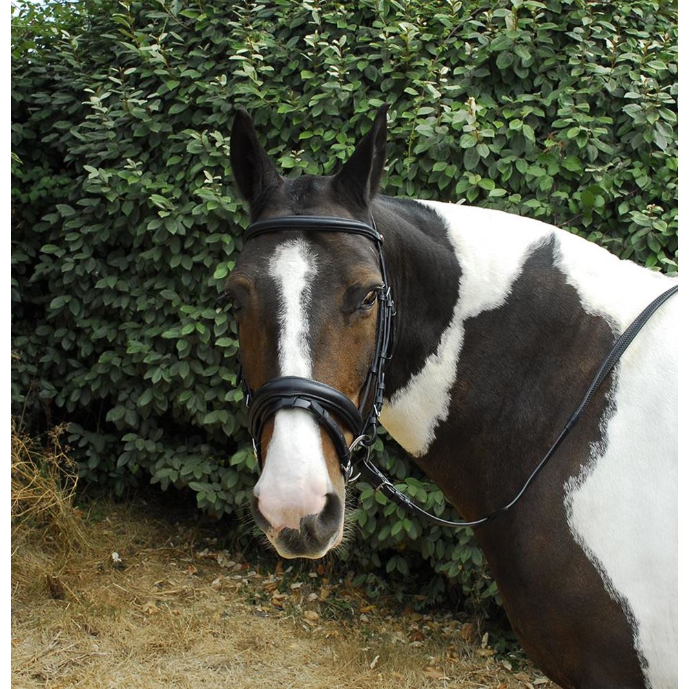 Windsor Leather Comfort Bridle With Crank Style Flash Noseband
