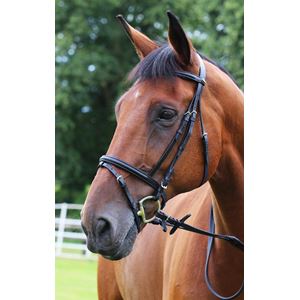 Gallop Padded Flash Bridle & Rubber Reins (Black)