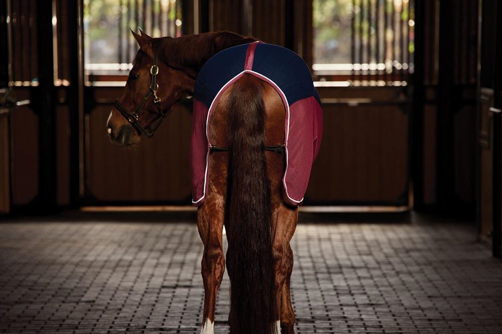 Weatherbeeta Therm-Air Cooler Standard (Navy/Burgundy)