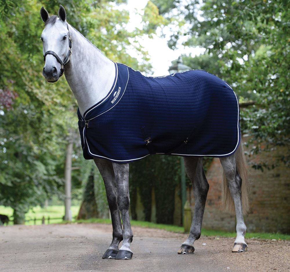 WeatherBeeta Thermocell Cooler Standard Neck