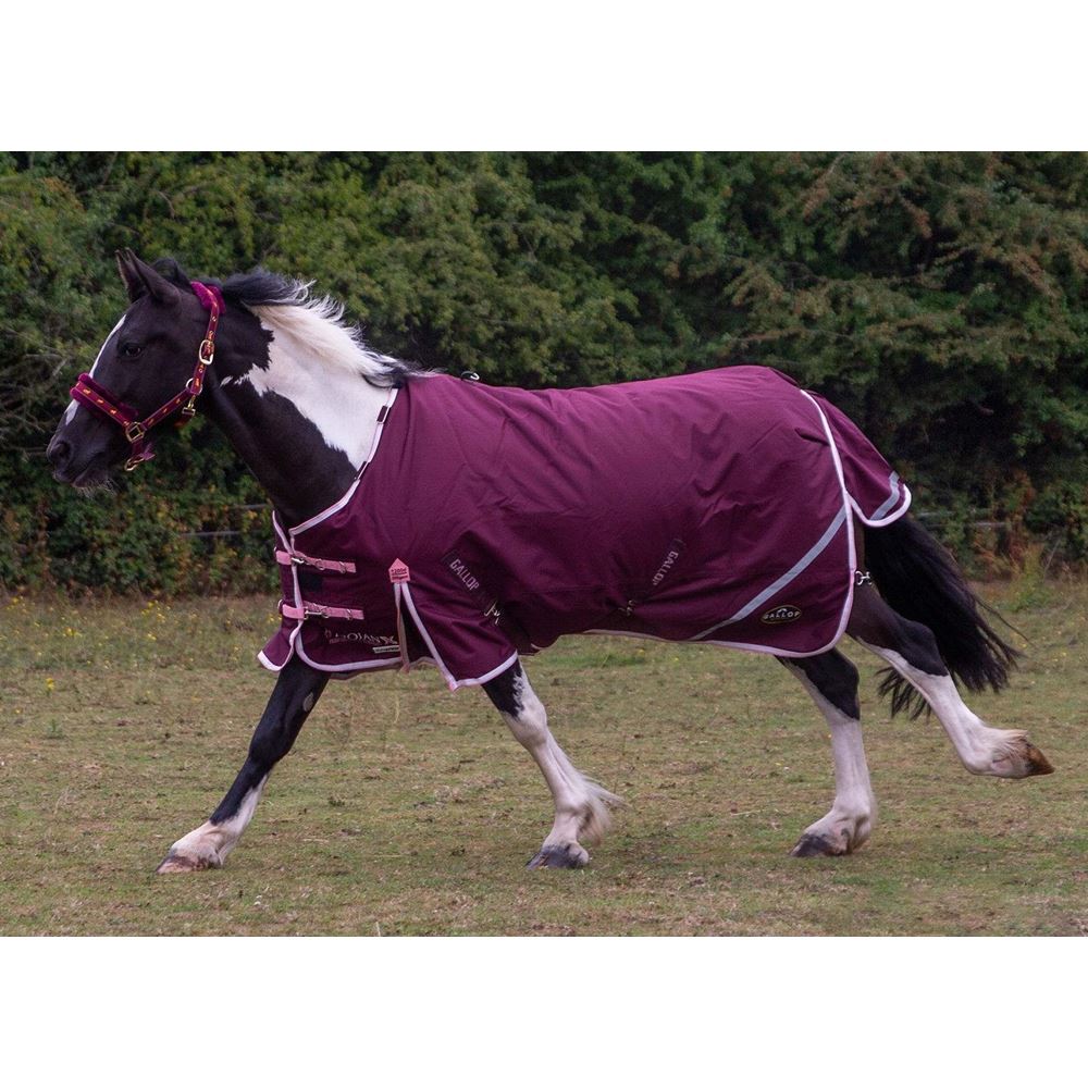 Gallop TROJAN Xtra Duraproof 200g 5-Point Standard Neck Turnout (Burgundy with Pink/White bindings)