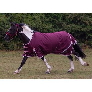 Gallop TROJAN Xtra Duraproof 200g 5-Point Standard Neck Turnout (Burgundy with Pink/White bindings)