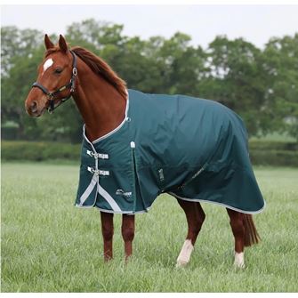 Shires Highlander Original 300 Turnout Rug (Green)
