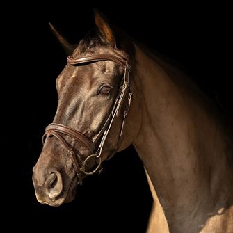 ProPresicce Pelle Raised Flash Leather Bridle by Hy Equestrian (Brown with Brass Hardware)