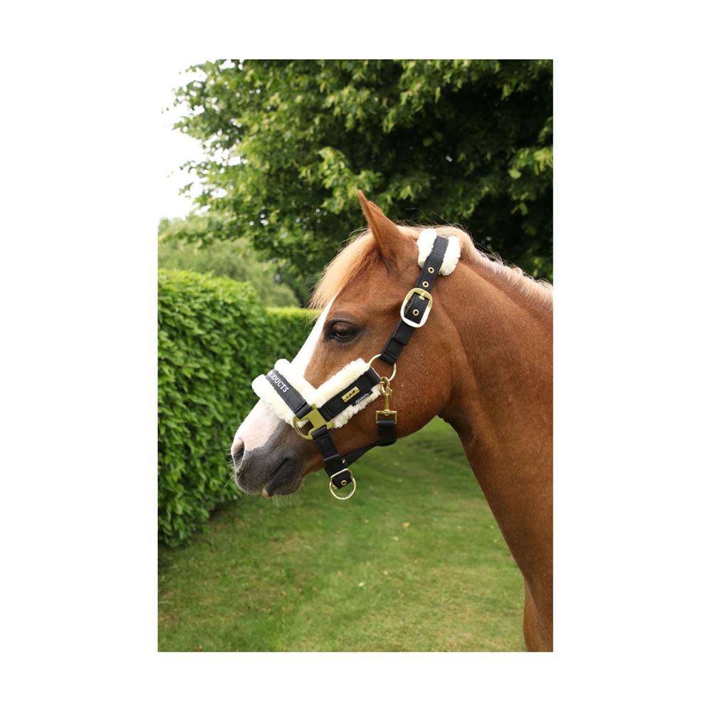 Supreme Products Royal Occasion Head Collar (Black)