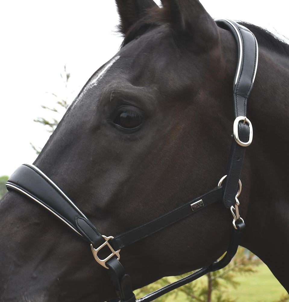 Rhinegold Rocco Italia Turin Leather Headcollar