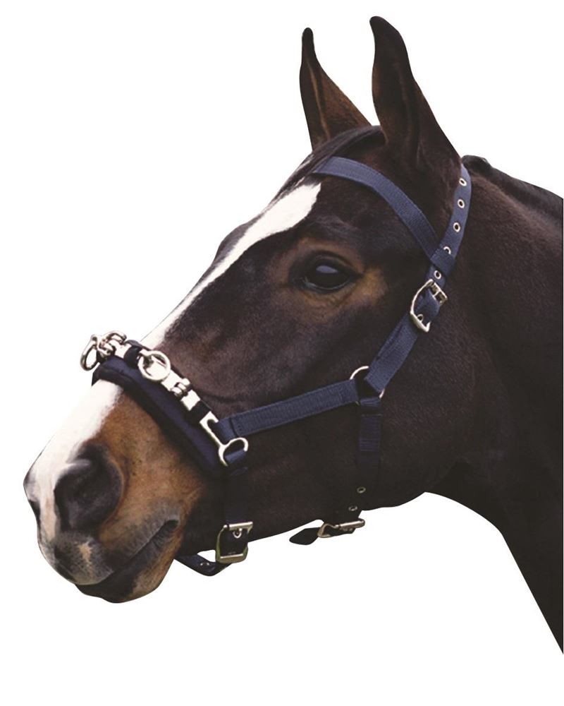 Kincade Co-Ordinate Lunge Cavesson