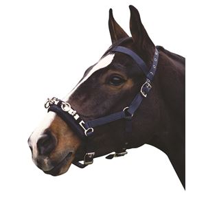 Kincade Co-Ordinate Lunge Cavesson