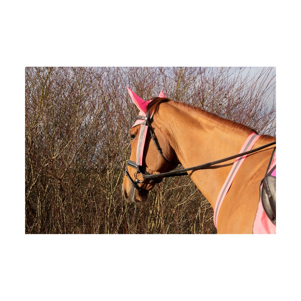 Hy Equestrian Reflector Martingale (Pink)