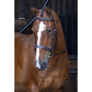 Shires Velociti RAPIDA Hunter Cavesson Bridle