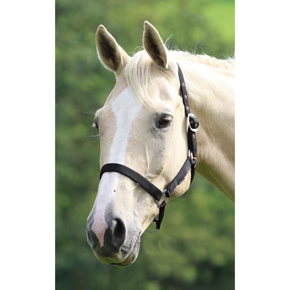 Shires Wessex Nylon Headcollar 